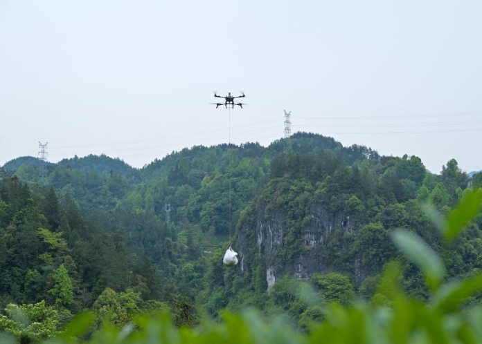 春茶“坐”上无人机