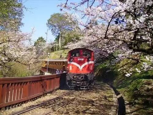 我的阿里山我的日月潭：台湾乡土情，中华文化心