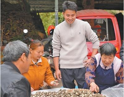 向下扎根的“村播”何以向上生长