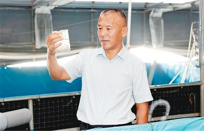 优选优育鱼苗 蹚出共富新路