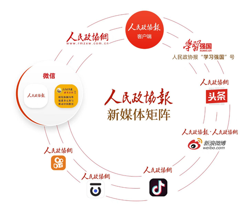 图片11