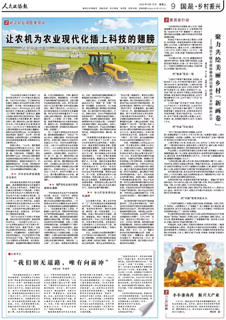 图片16