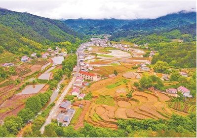 翠岭映层田 烟村入画间