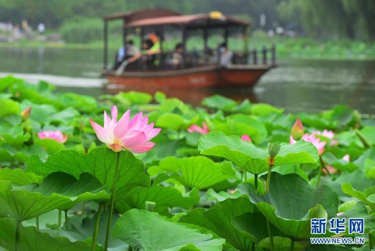 2026年端午节假期国内出游1.24亿人次