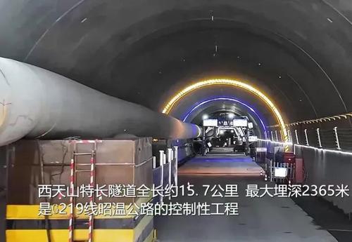 图片11 图片11