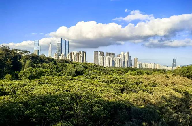 守护城市中的诗意山海