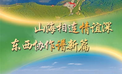 乡村视点|山海不为远 同心共富路