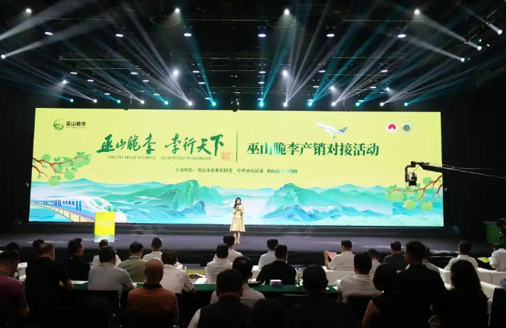 巫山脆李产销对接活动在京举办 巴渝名优土特产加速布局全国市场