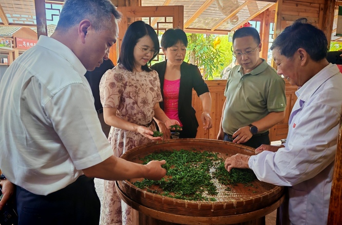 土家族苗族自治州政协委员在宣恩县调研