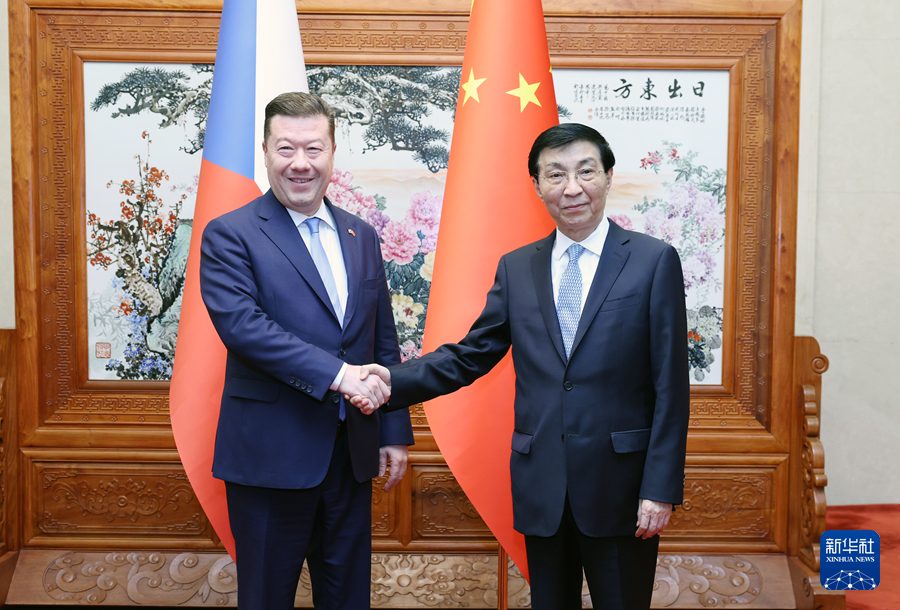 王沪宁会见捷克众议长冈村富夫