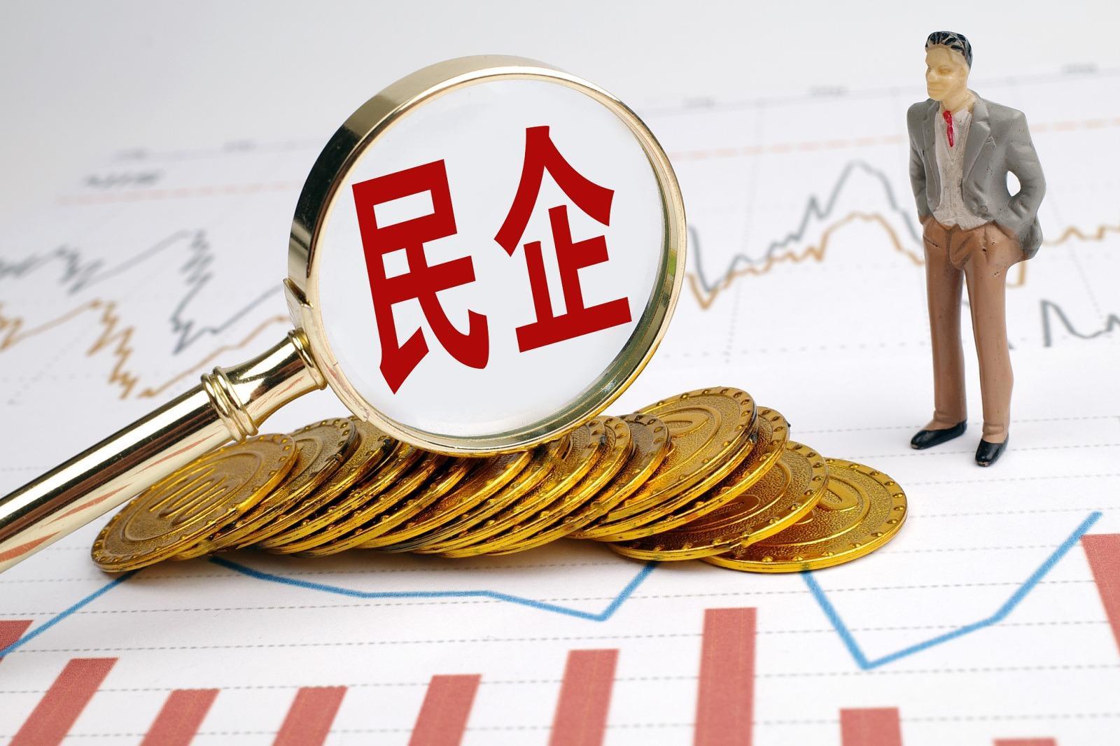 做胸怀报国志的奋斗者，民营企业家这样干