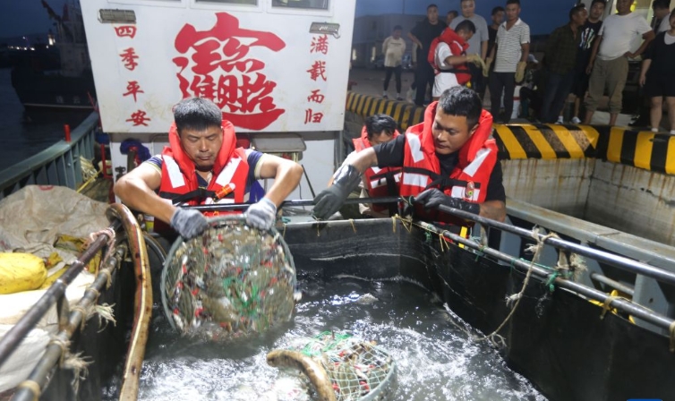 江苏连云港：开捕归来蟹满仓