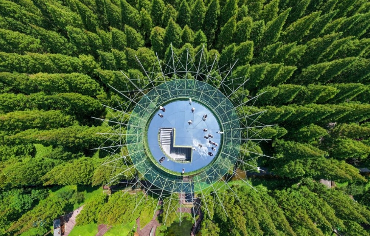 江苏东台：畅享绿意风光