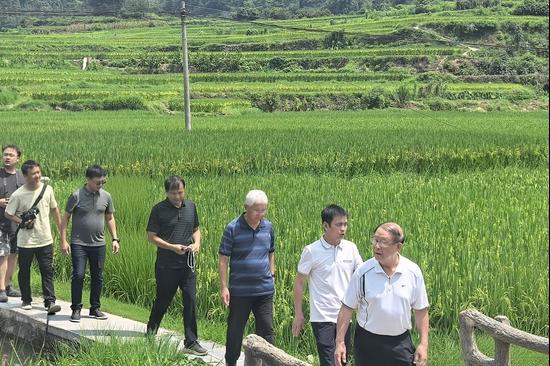乡村视点|激活千年农耕智慧 绘就和美乡村新图景