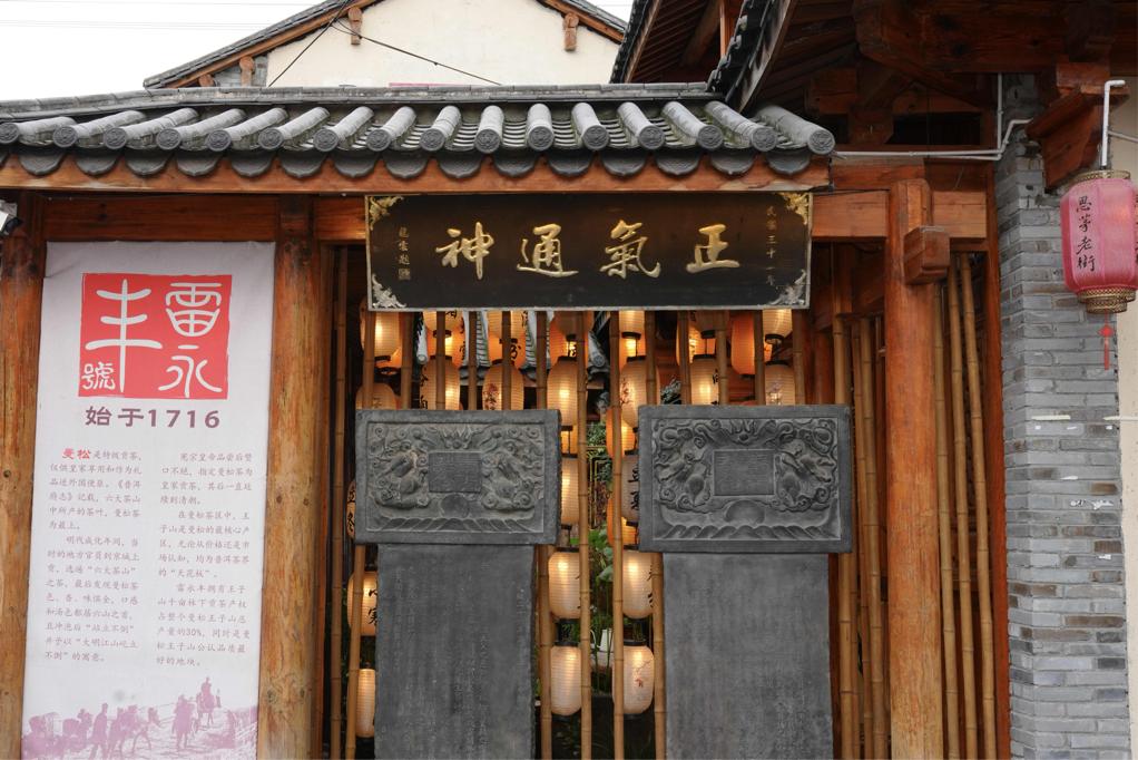 普洱茶的千年之旅：从西南边陲到世界遗产