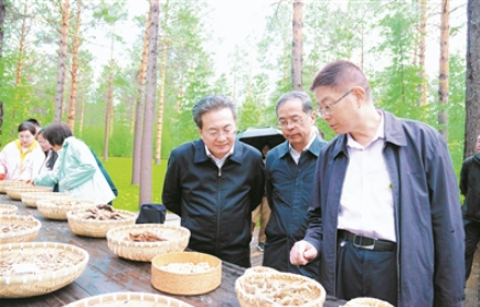 调研