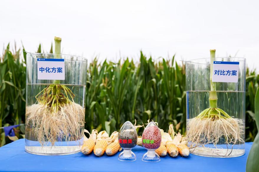 中国中化“生物+”科技让高产田再增产