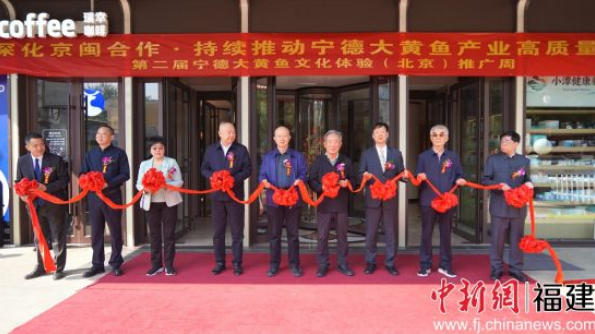 “国鱼”香飘北京 第二届宁德大黄鱼文化体验推广周启幕