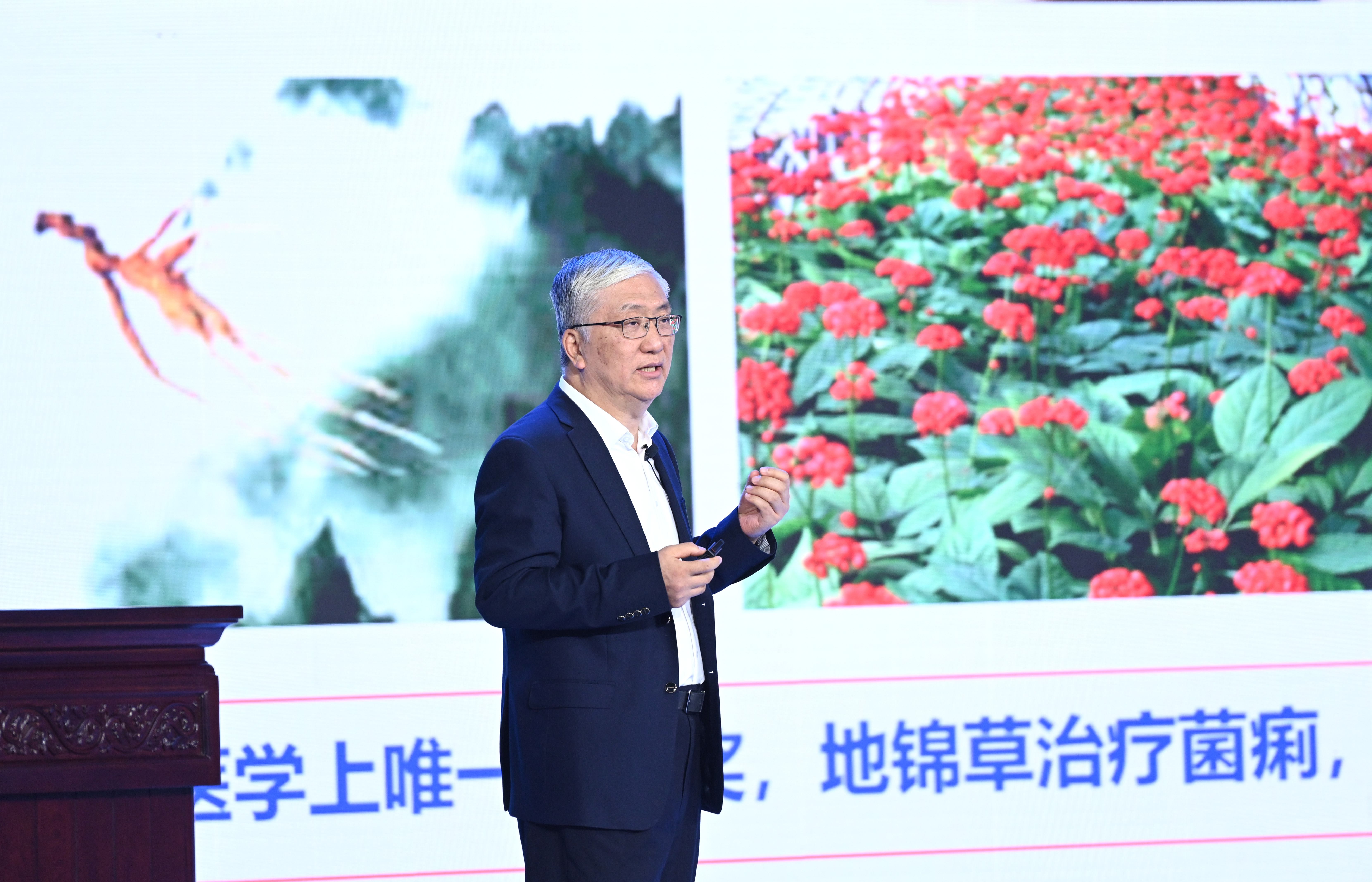 传承创新 让中医药更好守护人民健康