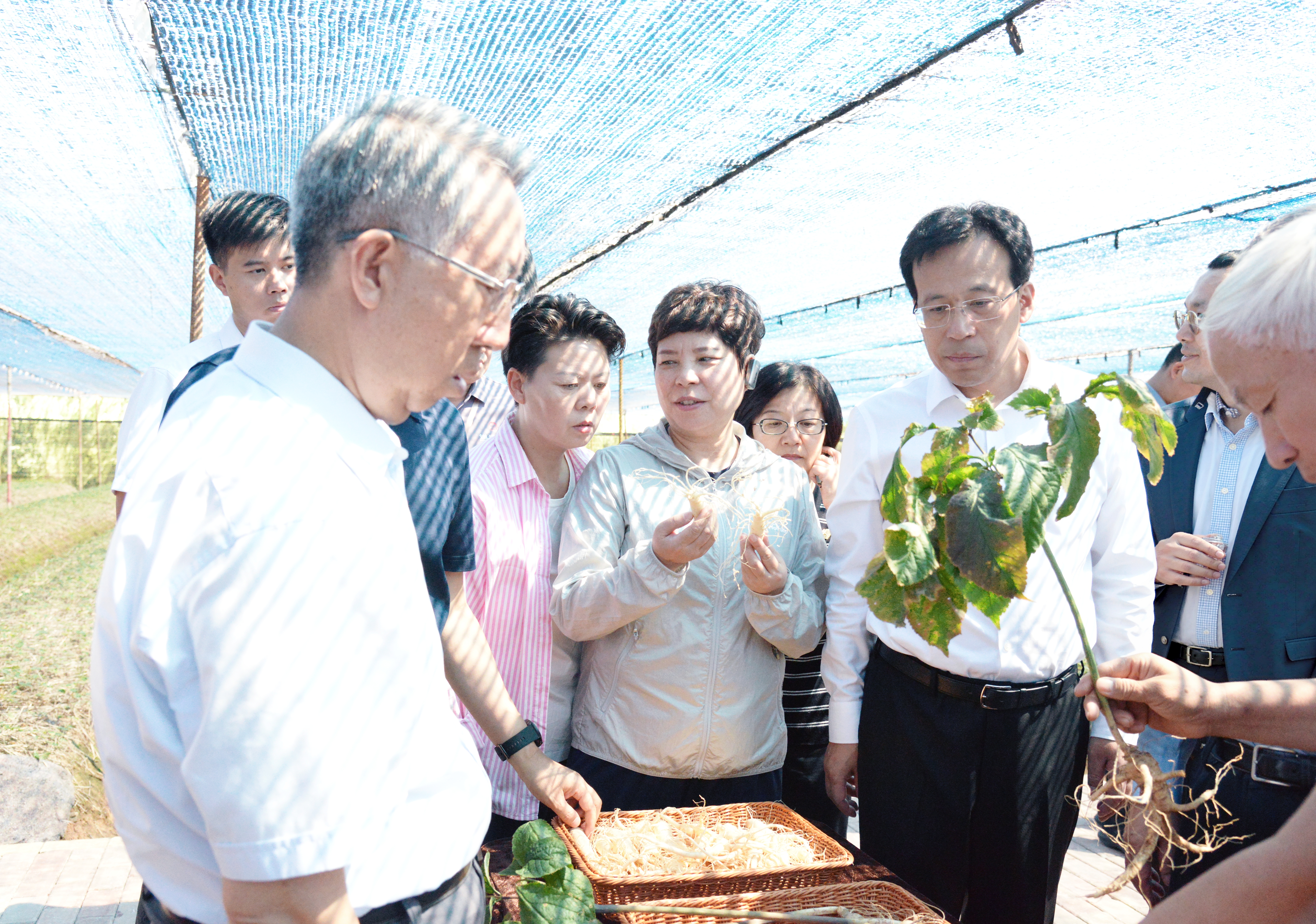 筑基兴村融山海 一体管护绘和美