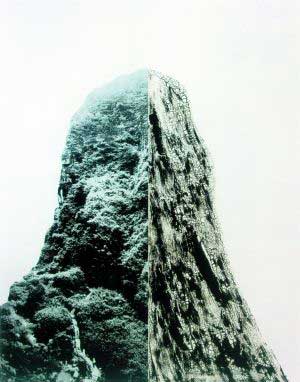 尚扬《碑》 这件作品体量颇大,达到了360cmX290cm,即使在普遍以大画为主的一楼展厅里也颇为醒目。左半幅郁郁葱葱的山林与右半幅炭化皲裂的山体对比强烈,技法高超,超写实的综合材料制作方式让人印象深刻,画面可以从生态环保、二元哲学、时空观、生命隐喻等多重角度进行解读,每个观众都可以容易地从中寻找自己的理解,或许正是因为这样,许多观众选择在这张作品前留影纪念。 尚扬《碑》 这件作品体量颇大,达到了360cmX290cm,即使在普遍以大画为主的一楼展厅里也颇为醒目。左半幅郁郁葱葱的山林与右半幅炭化皲裂的山体对比强烈,技法高超,超写实的综合材料制作方式让人印象深刻,画面可以从生态环保、二元哲学、时空观、生命隐喻等多重角度进行解读,每个观众都可以容易地从中寻找自己的理解,或许正是因为这样,许多观众选择在这张作品前留影纪念。