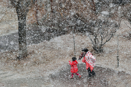 大连阳春三月突降鹅毛大雪3