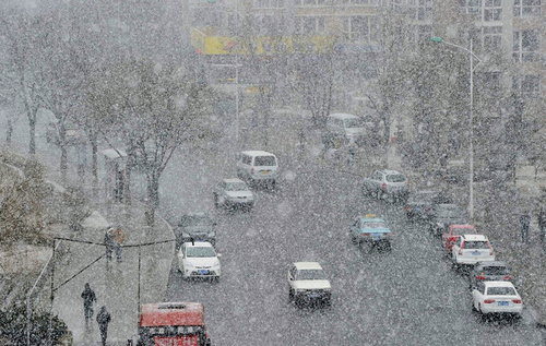 大连阳春三月突降鹅毛大雪2