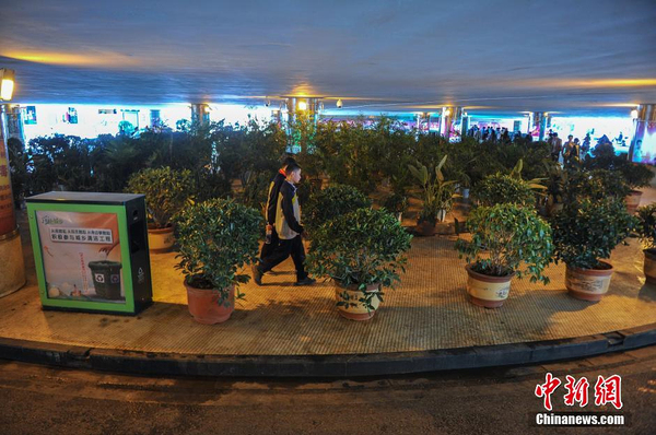 城管摆数百盆植物“大战”占道经营小贩4