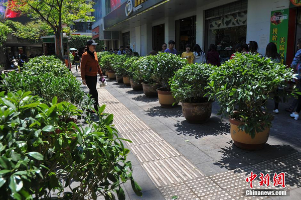 城管摆数百盆植物“大战”占道经营小贩2