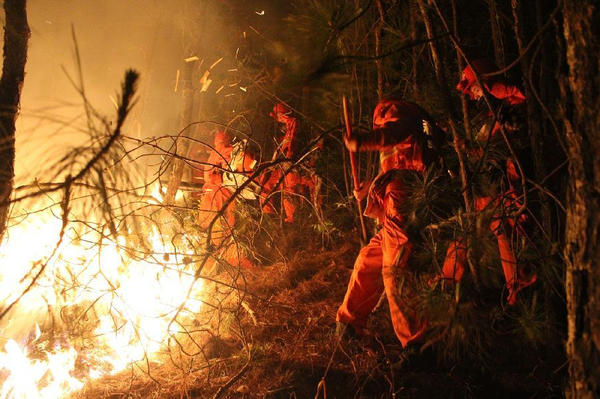 云南保山森林火灾持续3天-过火面积约1200亩2