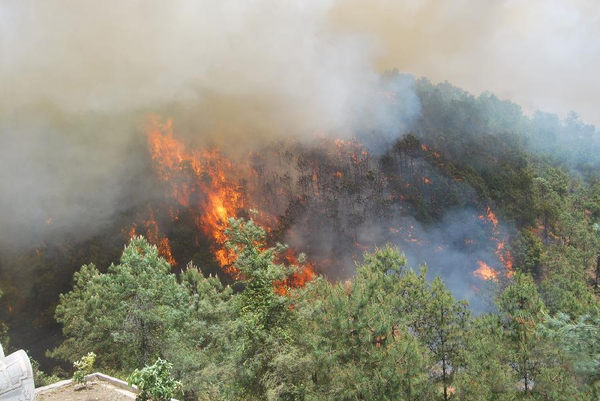 云南保山森林火灾持续3天-过火面积约1200亩3