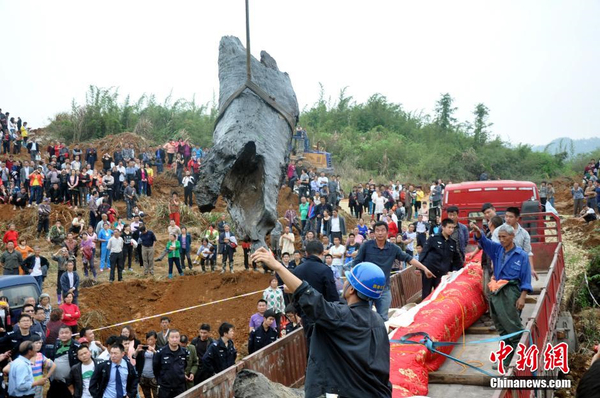 千年乌木重见天日-树龄在4000年以上2