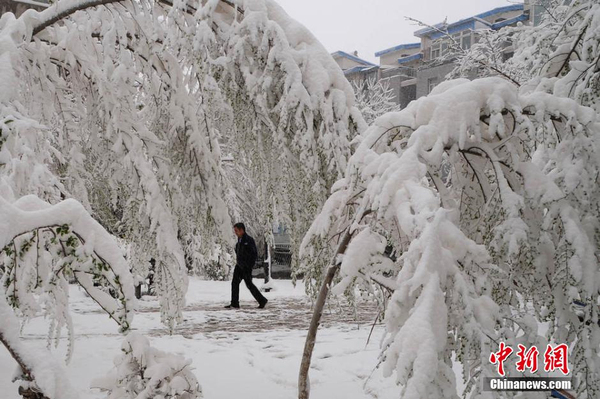 乌鲁木齐四月飞雪-瞬间进入冬季模式6