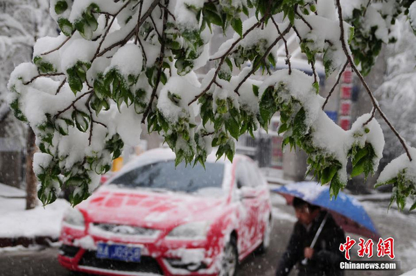 乌鲁木齐四月飞雪-瞬间进入冬季模式5