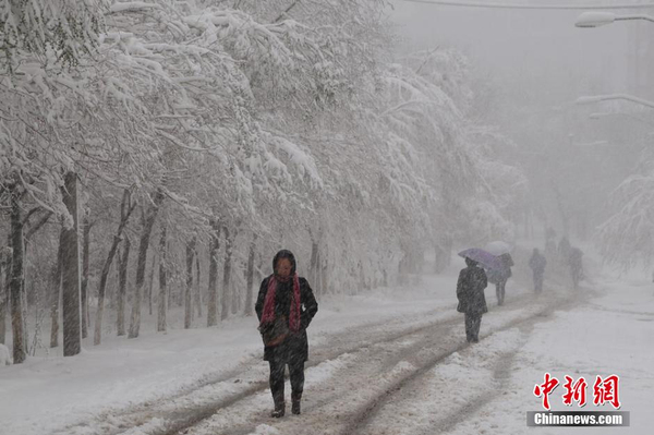 乌鲁木齐四月飞雪-瞬间进入冬季模式4