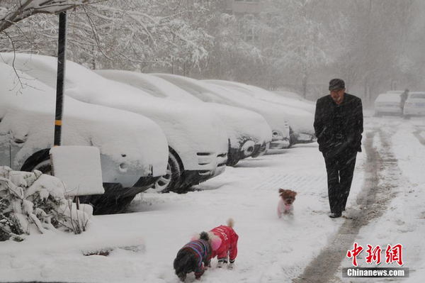 乌鲁木齐四月飞雪-瞬间进入冬季模式2