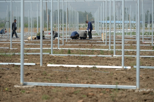 5月13日，河北花香畦生态农业科技有限公司的施工人员在搭建二期有机蔬菜双膜温室大棚。