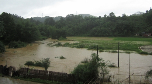 5月18日，在广西昭平县马江镇新兴村，河水上涨淹没部分农田。