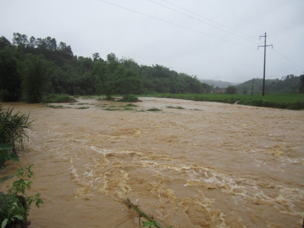广西多地遭遇暴雨袭击-4