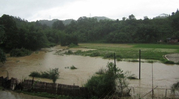 广西多地遭遇暴雨袭击-3