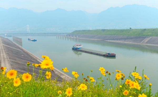 三峡水库水位持续消落　五级船闸改为四级运行4