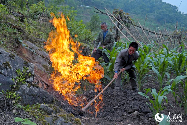田地里划根火柴能点燃-重庆巴南发现神秘气体3