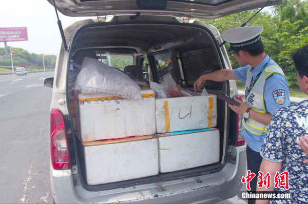 江西一面包车非法运输200多只人体胎盘2