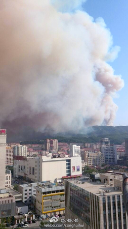 山东威海仙姑顶景区发生大火(高清组图)10