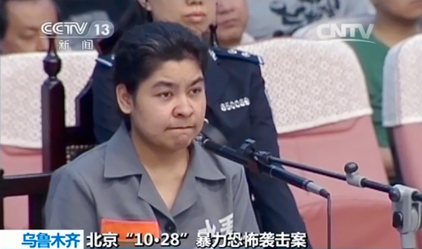 北京金水桥“10·28”暴恐案一审宣判-3人死刑5