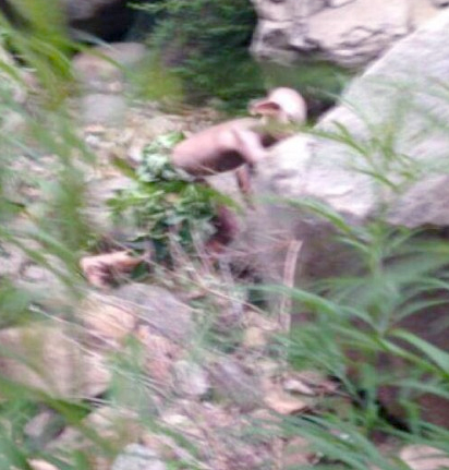 揭北京怀柔疑似怪兽实情-网友在拍微电影4