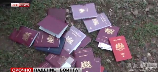 直击马航MH17客机坠毁现场11