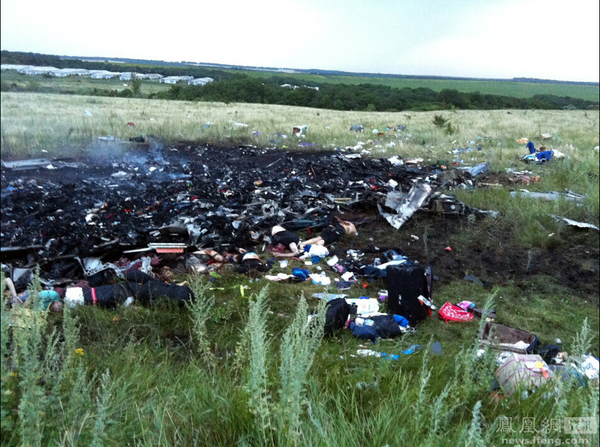 直击马航MH17客机坠毁现场3