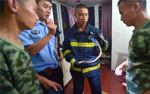女子网购一条蛇当宠物-见实物被吓坏求助警察5