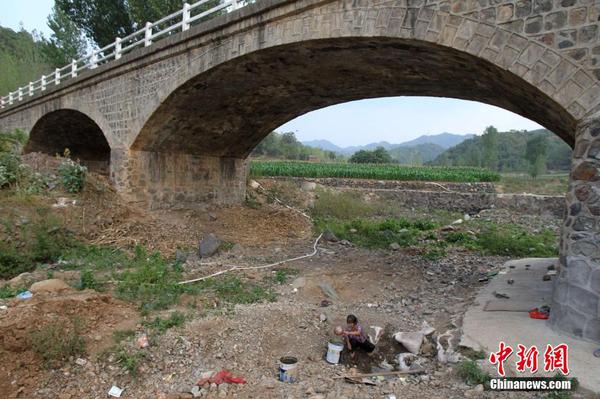 河南遭遇严重干旱 74万人吃水难2